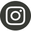 Icono instagram